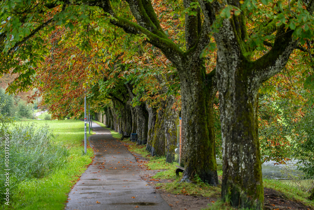 Naklejka premium Immenstadt