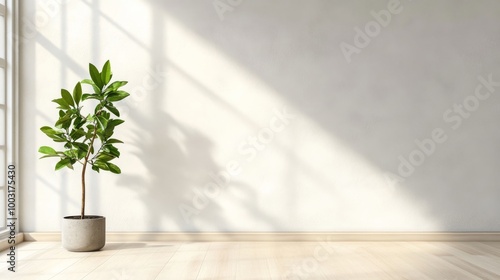 Bright sunlight pours through windows illuminating the greenery and creating calming shadows