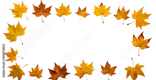 Scattered Autumn Leaves on a White Background