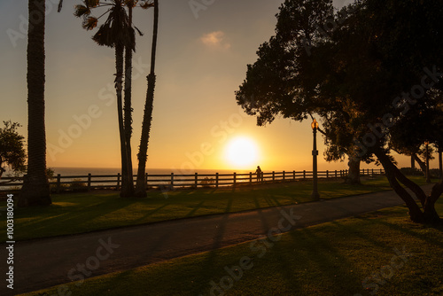 A sunset over the ocean with palm trees creating a picturesque view Santa Monica