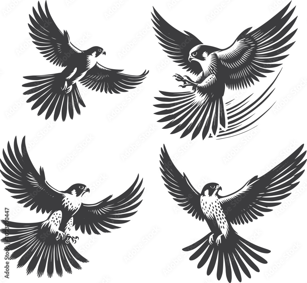 Fototapeta premium Black and White Silhouette of a Peregrine Falcon in Flight | Stock Vector Illustration