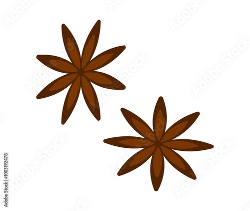 Anise star vector cartoon flat illustration isolated on white background. An element for decoration. A set of two star anises. 