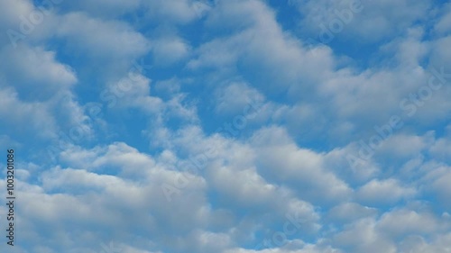 Altocumulus high cumulus heaped cloud genus that belongs mainly to stratocumuliform. Globular masses or rolls in layers or patches. Cumuliform stratocumuliform clouds, altocumulus signifies convection photo