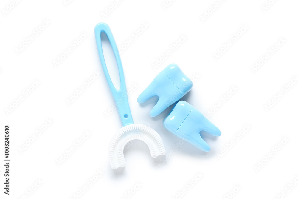 Children's toothbrush and tooth models on white background Children's toothbrush and tooth models on white background