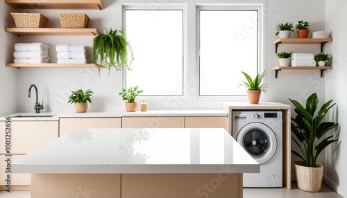 Sleek White Countertop in Laundry Room for Product Presentation