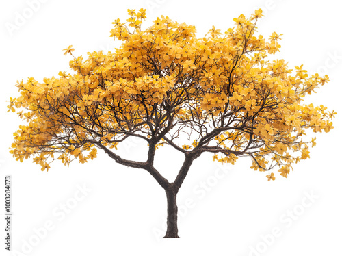 A solitary tree featuring bright yellow leaves, symbolizing the transition of seasons in a picturesque landscape.