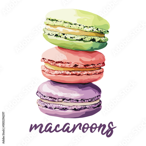 macaroons in watercolor illustration style, isolated vector on white background