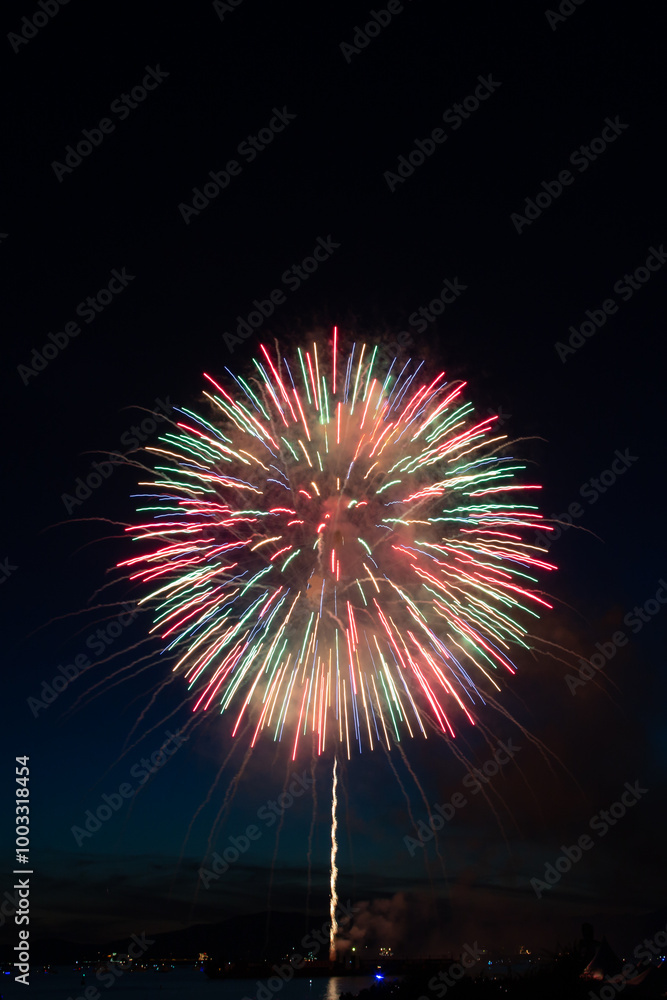 Fireworks in the night sky