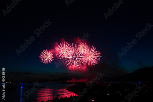 Fireworks in the night sky