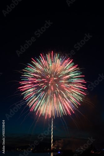 Fireworks in the night sky
