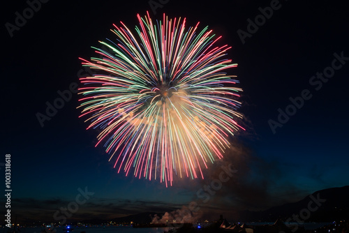 Fireworks in the night sky
