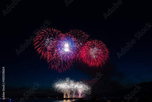 Fireworks in the night sky