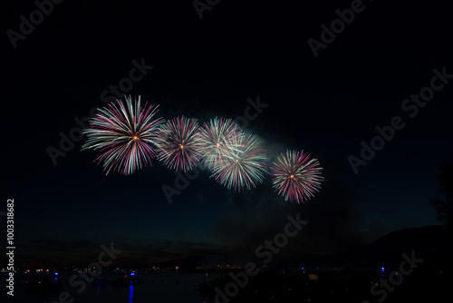 Fireworks in the night sky
