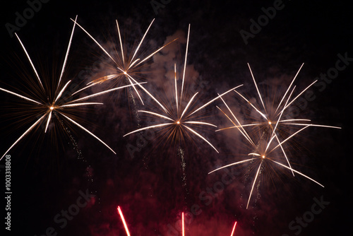 Fireworks in the night sky