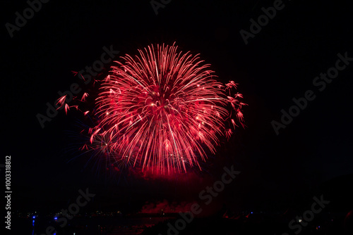 Fireworks in the night sky