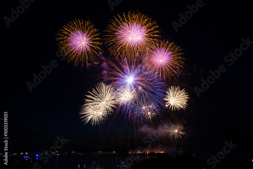 Fireworks in the night sky