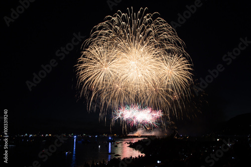 Fireworks in the night sky