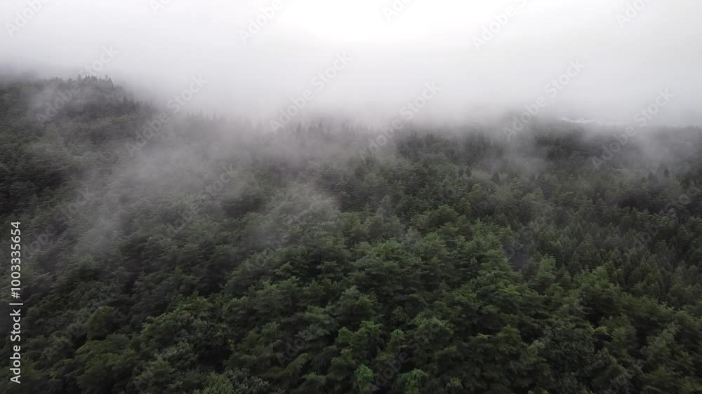 山の中から立ち昇る雲 山の中から立ち昇る雲