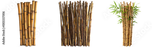 Bamboo Stalks in Various Arrangements for Decoration Isolated on Transparent Background