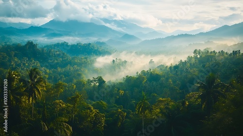 Quiet tropical river meandering through vibrant lush jungle ecosystem picture