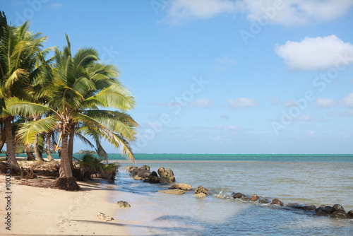 Fototapeta Naklejka Na Ścianę i Meble -  Beautiful tropical island beach with sand and palm trees, blue sky, Fiji