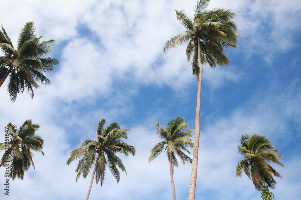 Fototapeta premium Coconut palm trees against the blue cloudy sky