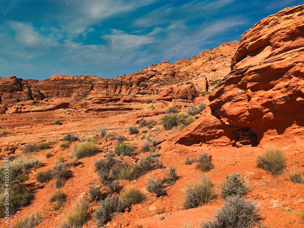 Autumn on the Trail at Red Cliffs National Conservation Area Near St. George Utah. Autumn on the Trail at Red Cliffs National Conservation Area Near St. George Utah.