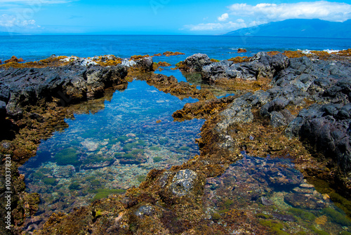 Fotografi Tide Pools in Lava Shoreline, Maui, Hawaii