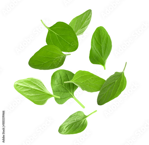 Fresh oregano leaves in air on white background