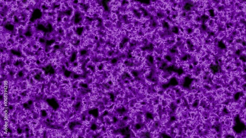 Wallpaper Mural Purple background animated with black speckled texture, ideal for dark themed designs, modern backgrounds, abstract concepts, and artistic projects. Torontodigital.ca