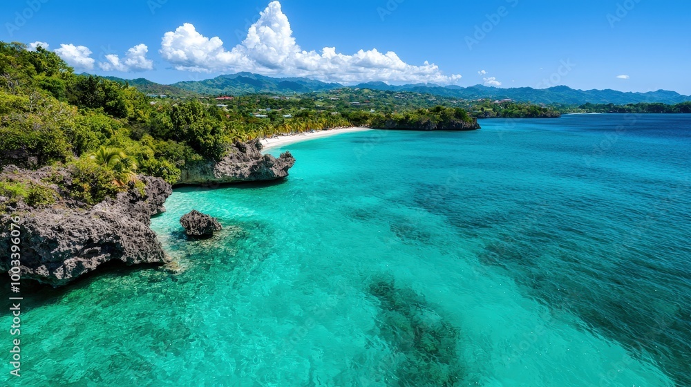 Fototapeta premium Caribbean Sea Coastline with Lush Greenery and Crystal Clear Water