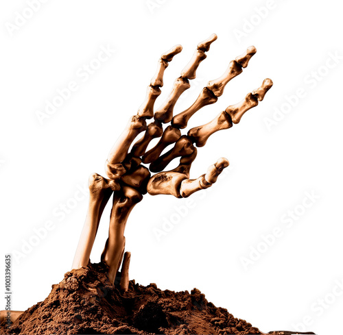 Skeleton hand for halloween png transparent photo