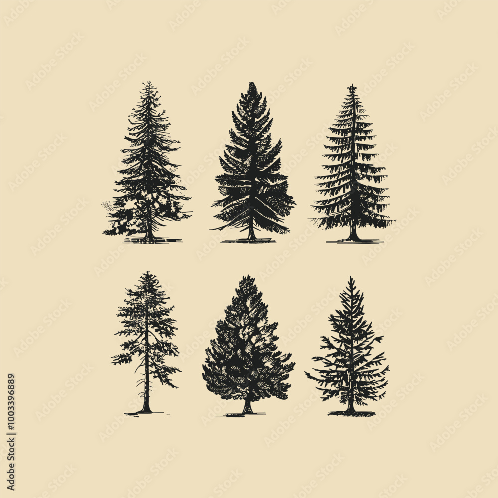 Obraz premium set of pine tree engraving style vintage design vector illustration
