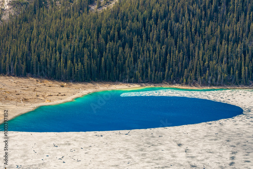 Incredible spring time scenes at Peyto Lake in the Canadian Rockies during May with incredible bright blue colours in lake below massive snow capped mountians and boreal forest.  photo