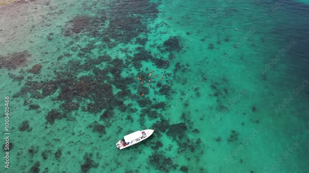 An adventure showcasing snorkeling in the Belize Barrier Reef, highlighting vibrant marine life, colorful coral formations, and crystal-clear waters in a tropical paradise. An adventure showcasing snorkeling in the Belize Barrier Reef, highlighting vibrant marine life, colorful coral formations, and crystal-clear waters in a tropical paradise.