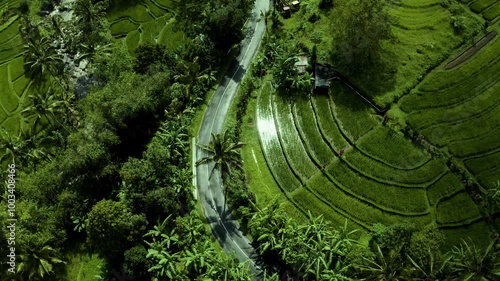 A scenic view of a winding road cutting through lush rice fields in Bali, Indonesia, showcasing the beauty of rural landscapes and the harmony between nature and infrastructure.