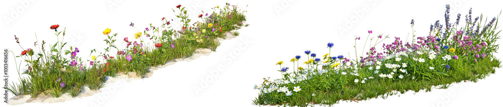 Fototapeta premium Colorful wildflower arrangement on a white isolate background.