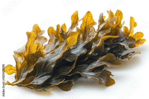 seaweed isolated on a white background emphasizing its intricate textures and vibrant colors suitable for culinary or marinethemed projects photo