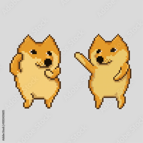 Dancing dog, pixel art meme