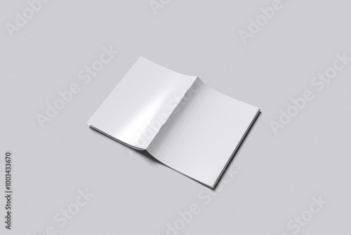 A5 Brochure Blank