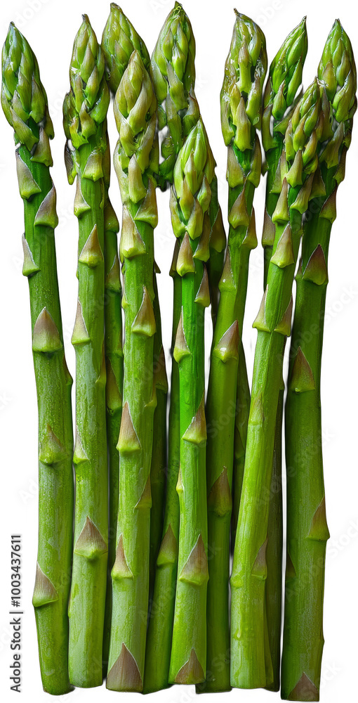 Fototapeta premium Freshly Harvested Asparagus Spears on Dark Surface