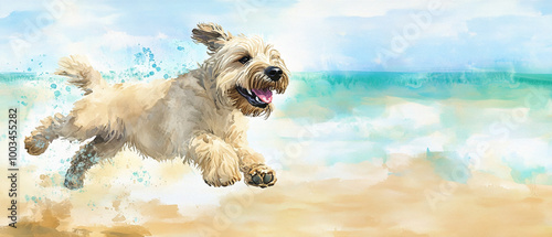 Soft Coated Wheaten Terrier Dog Running Playfully in a Field