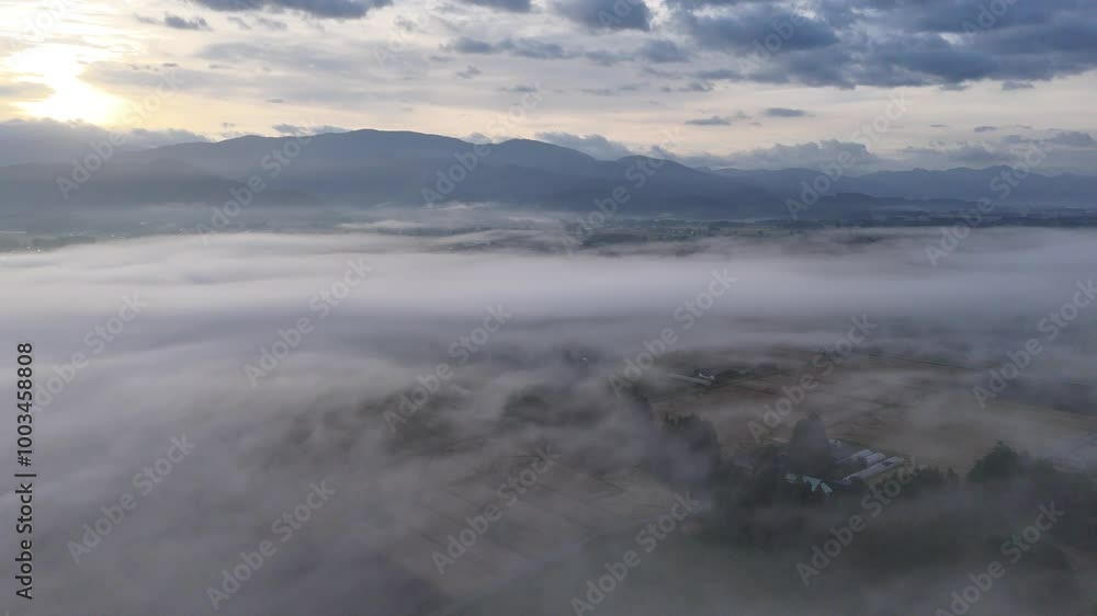 霧に包まれた朝の風景 移動撮影 秋 日本 田舎 田園風景 霧に包まれた朝の風景 移動撮影 秋 日本 田舎 田園風景