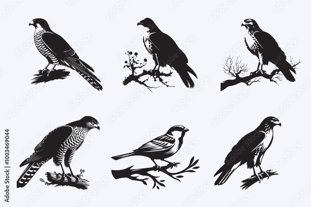 Creative 6 Birds silhouette vector style with white background Creative 6 Birds silhouette vector style with white background