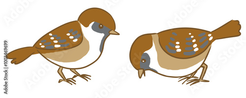 餌を食べる二羽の雀のベクターイラスト