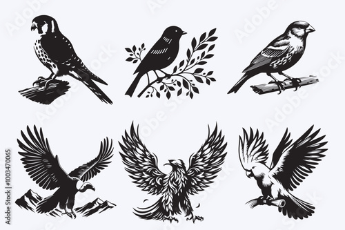 Creative 6 Birds silhouette vector style with white background