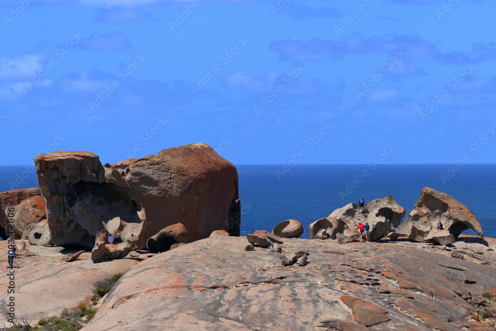 kangaroo island kangaroo island