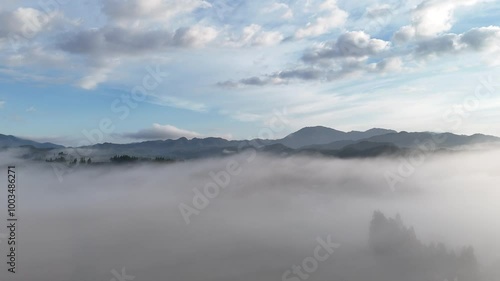 Wallpaper Mural 霧に包まれた朝の風景　移動撮影　秋　日本　田舎　田園風景 Torontodigital.ca