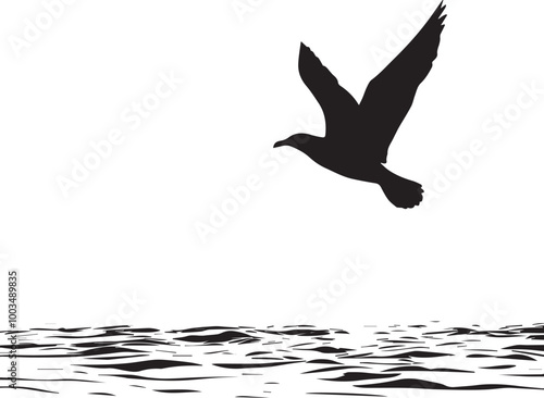 seagull flying over water