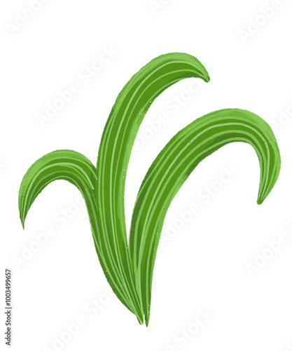 Plakat leaves venation parallel